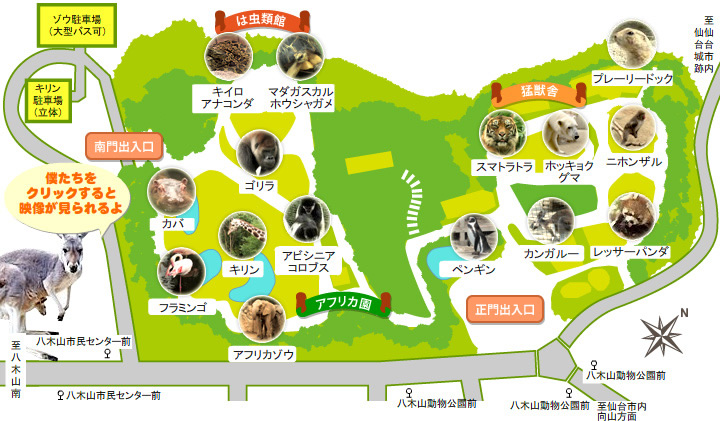 Yagiyama Zoological Park(仙台市八木山動物公園)